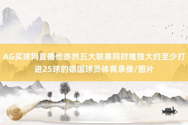 AG买球网直播他亦然五大联赛同时唯独大约至少打进25球的德国球员体育录像/图片